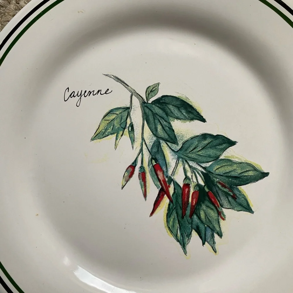 🌶️ WILLIAMS- SONOMA VINTAGE SALAD PLATE HERBS MADE IN PORTUGAL CAYENNE